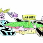 土地承包法在土地经营纠纷中的应用