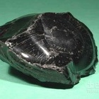 沥青标号如何选定 看完后选定更快更准确
